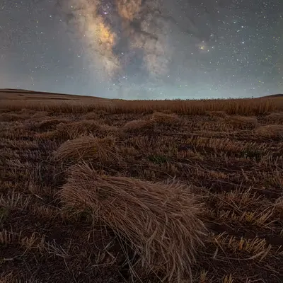 Harvesting Stars