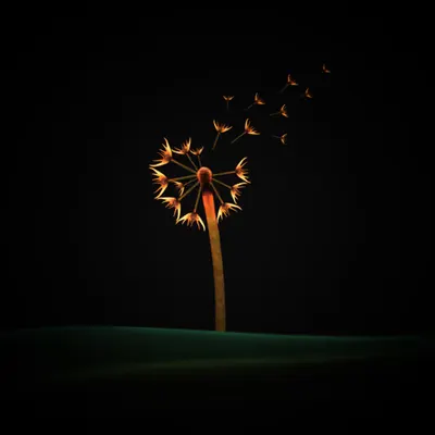 #15 - Dandelion