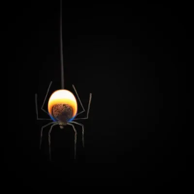 #18 - Spider