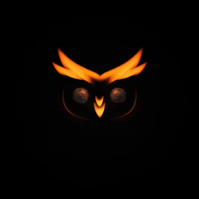 #26 - Owl