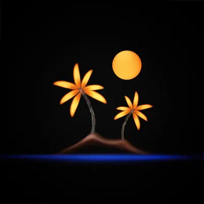 #28 - Palm
