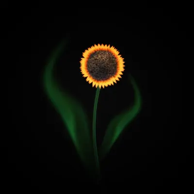 #36 - Sunflower