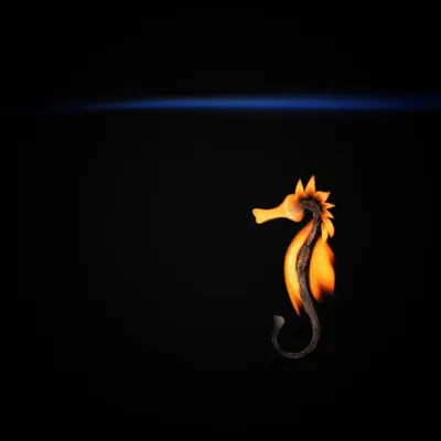 #44 - Seahorse