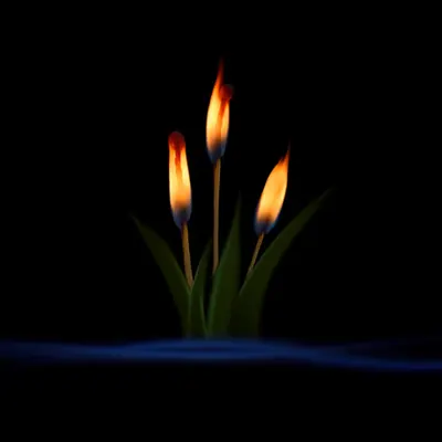 #47 - Cattails