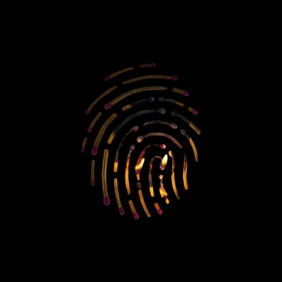#52 - Fingerprint