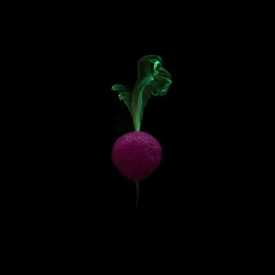 #54 - Radish