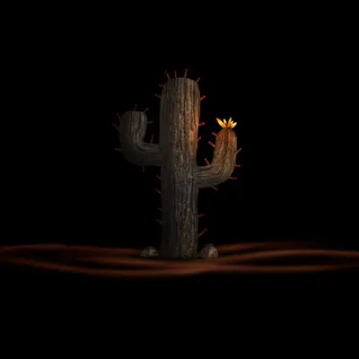 #59 - Cactus