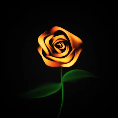 #6 - Rose
