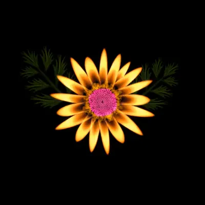 #61 - Chamomile