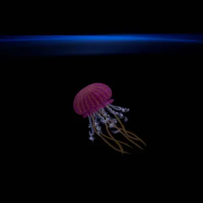 #65 - Jellyfish