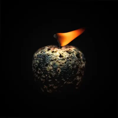#7 - Apple