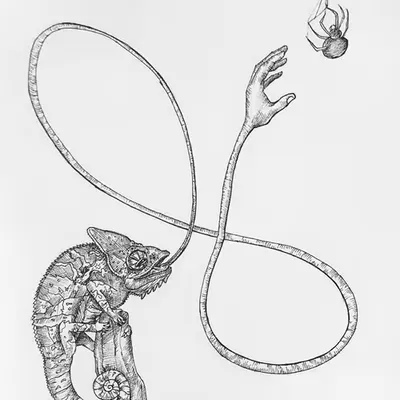 Reach of Nature