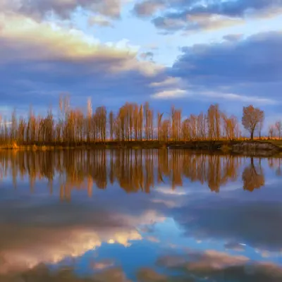 Onchain Reflection #2