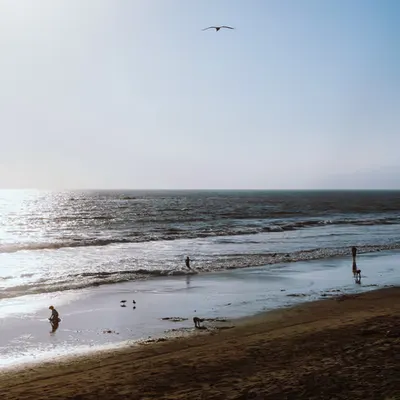 Peace+Solitude