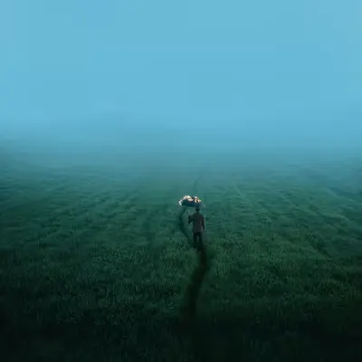 The weeping meadow