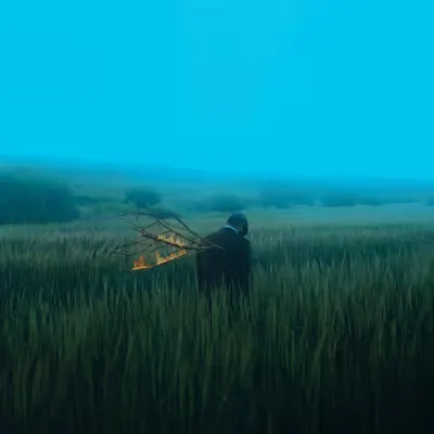The forgotten tree