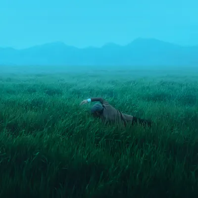 Swimming in dream's