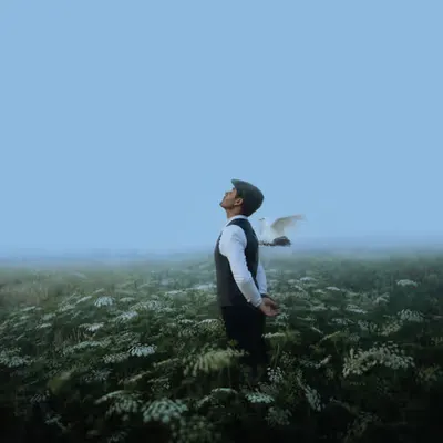 The wings of Peace