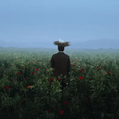 The thoughts of peace