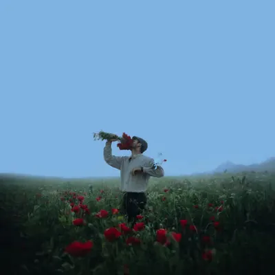 The smell of peace