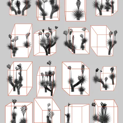 #1000291