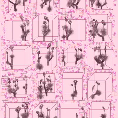 #1000298
