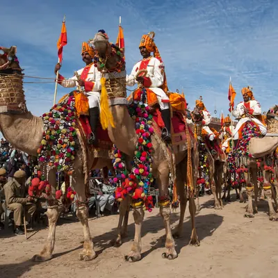 WPEP #107 Camel Guard