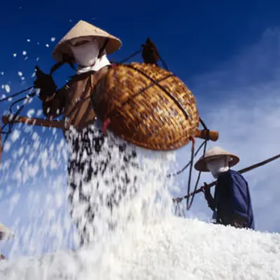 WPEP #002 Salt of the Sea