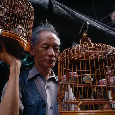 WPEP #042 Bird Man