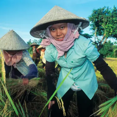 WPEP #050 Harvest Girl