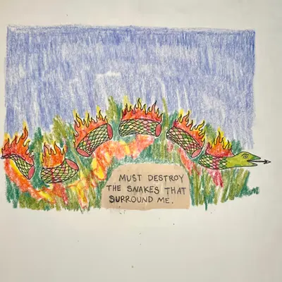 DESTROY THE SNAKES