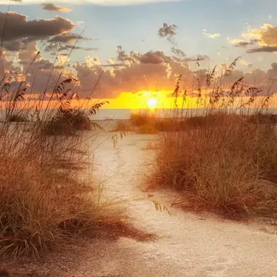 Glimpses of Gold