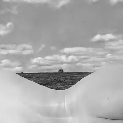 A Lone Tree