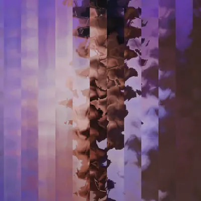 Nude Abstract #57