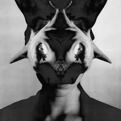 HAIRLESS CAT BAPHOMET (Jesse Draxler) #1/10