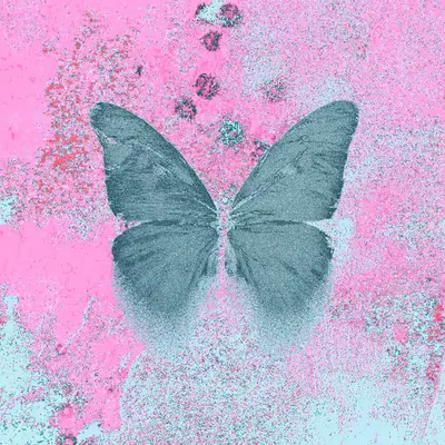 Bubblegum