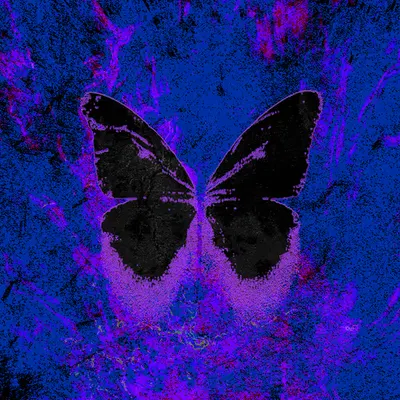 Electric Night