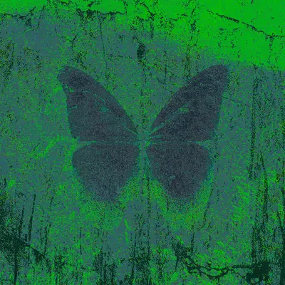 Toxic Veil