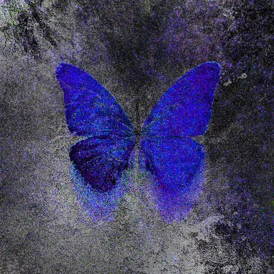 Sapphire Bloom