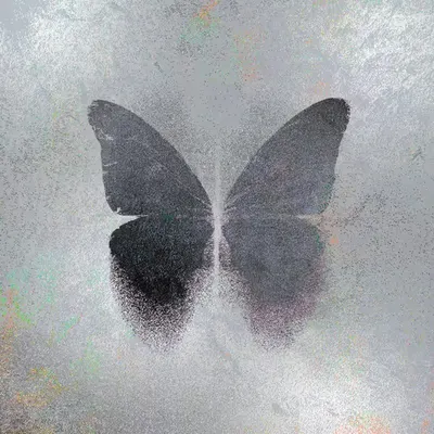 Silent Fog