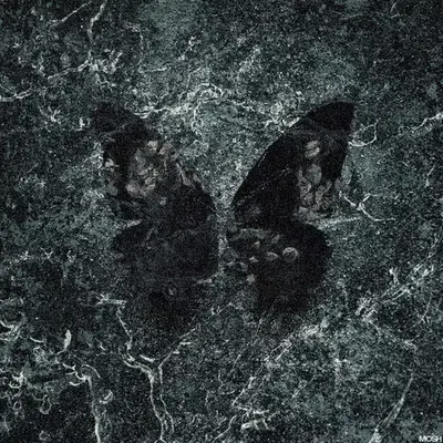 Organic Decay