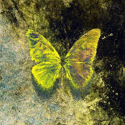 Volt