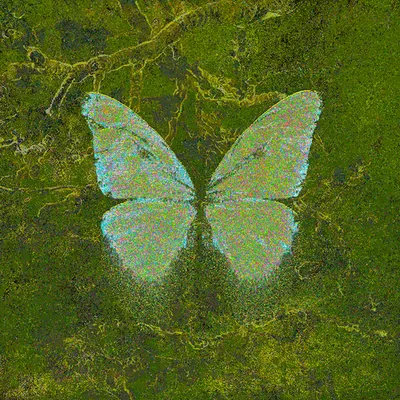 Shadow Leaf
