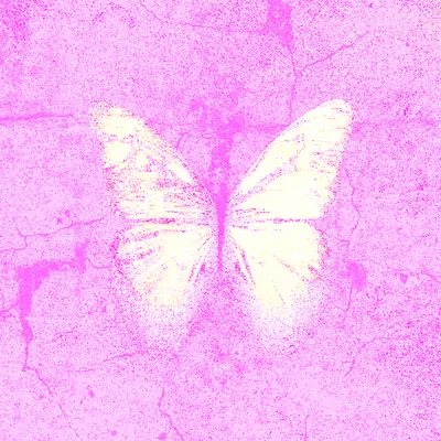 Gentle Scar