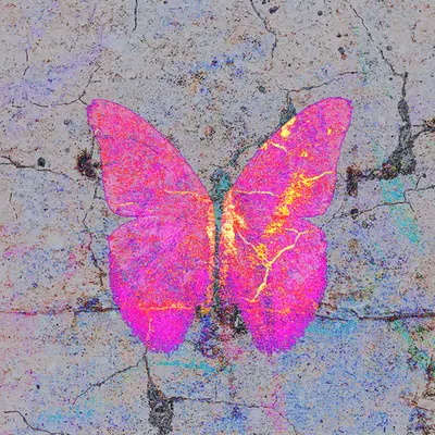 Symbiosis
