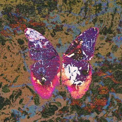 Viscera