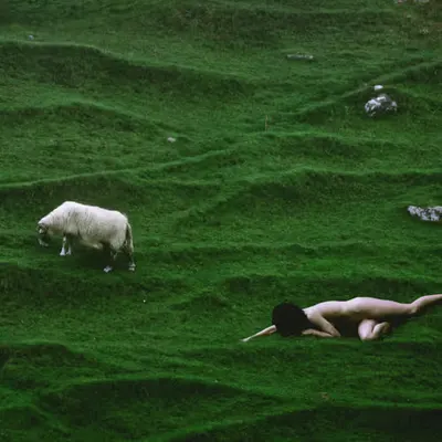 Blind Sheep Gather 