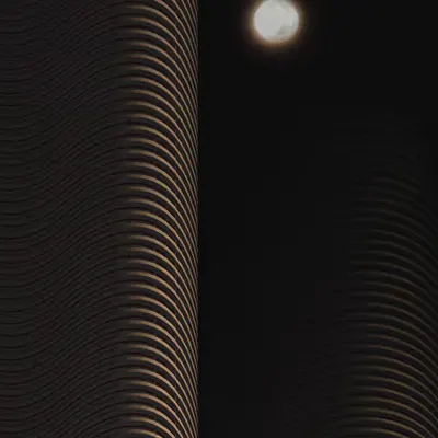 the curious night