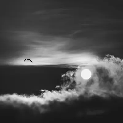 Impermanence