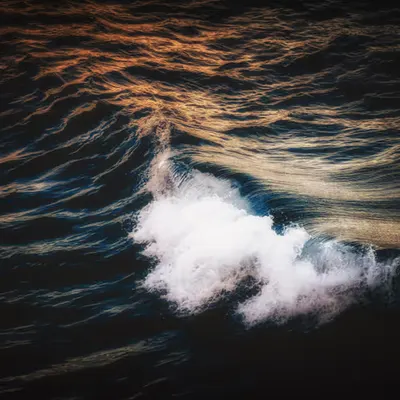 Surge Eterna